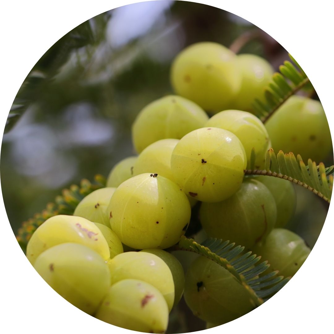 19.jpg__PID:6c6899ad-cb8f-48ca-ab79-3501bcb83d6a