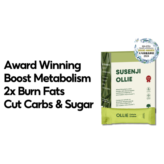 Ollie+ Advanced - Fat Burner - PIXIEPAX