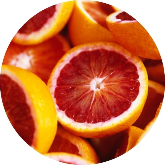 7.jpg__PID:c28275e5-43fd-4e32-8d21-3d396c22c68e
