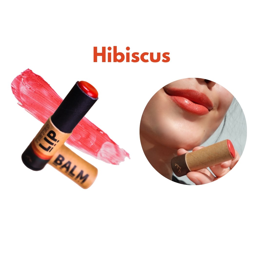 Hygr Natural Vegan Lip Tint And Balm - PIXIEPAX